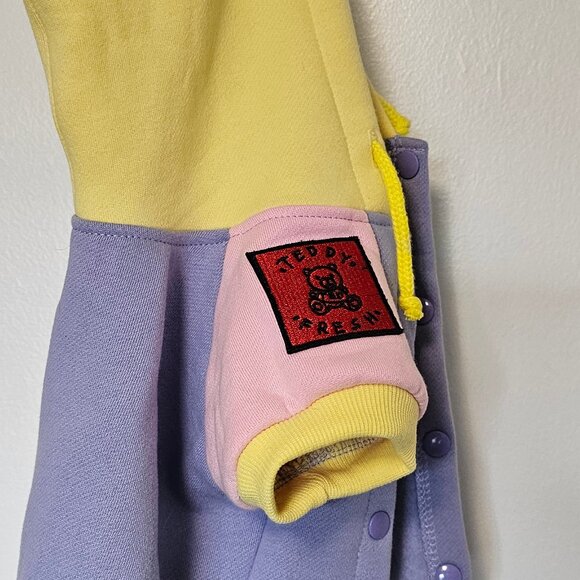 Teddy Fresh Pet Hoodie Colorblock Size L - Rare 2020 1st Edition - Picture 4 of 8